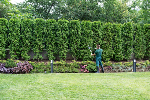 Best Leaf Removal  in Coral Gables, FL